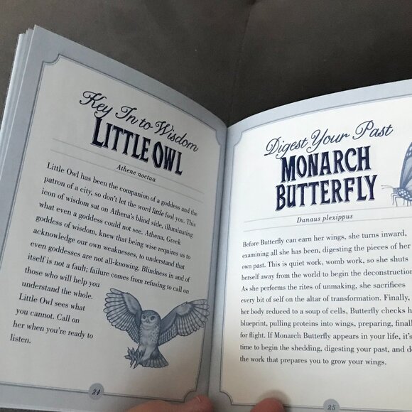 The Illustrated Bestiary Oracle Cards NEW Animal Oracle - Picture 6 of 6